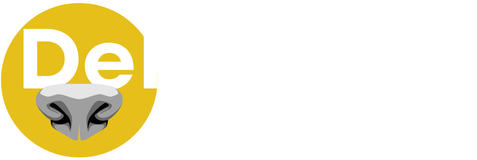 DeMorroFi